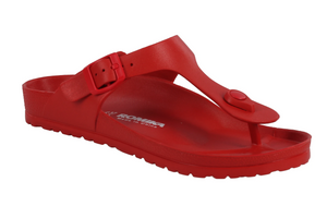 Roemer 7