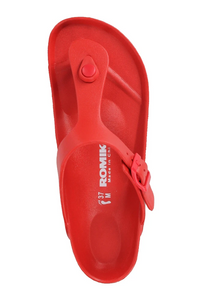 Roemer 7