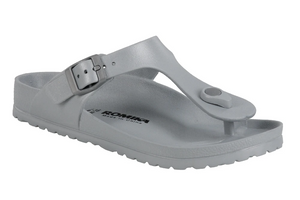 Roemer 7