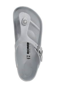 Roemer 7