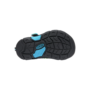 Newport H2 Toddler