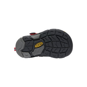 Newport H2 Toddler