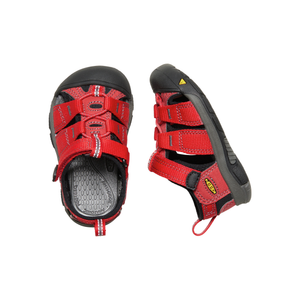 Newport H2 Toddler