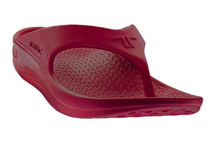 Flip Flop