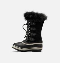 Load image into Gallery viewer, Joan of Arctic
