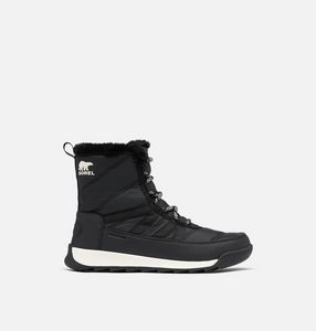 Whitney Short 1615841